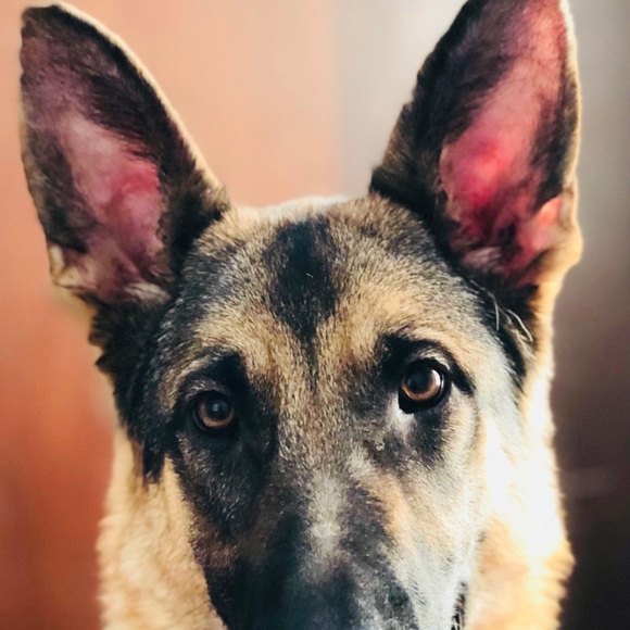 Profile Picture of Aaron Holley (@keyzguy) on Poshmark