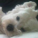 Profile Picture of Valerie Buckley Redmond (@buckleyredmond) on Instagram