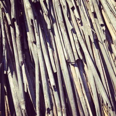 Profile Picture of Tomáš Němec (@TomNmec53426471) on Twitter