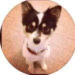 Profile Picture of Bob Rivera (@chinesebobjeremy) on Instagram