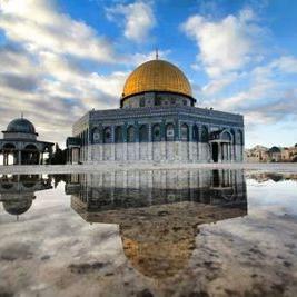 Profile Picture of Mahmoud M Khattab (@mbcc112) on Twitter