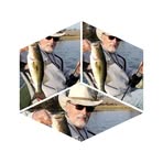 Profile Picture of Nathan Frink (@Nathan-Frink) on Facebook