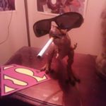 Profile Picture of Curtis Reynolds (@curtis.reynolds.1650) on Instagram