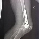 Profile Picture of Lisa Haselberger (@lisaberger82) on Instagram