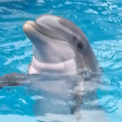 Profile Picture of Lars Lundgren (@Larsclarke) on Youtube