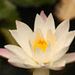 Profile Picture of Krishnan Manjeri (@krishnanmanjeri) on Pinterest