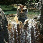 Profile Picture of Colin Chin (@stormrider925) on Instagram