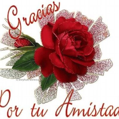Profile Picture of Carlos Granda (@70carlosgranda) on Twitter