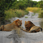 Profile Picture of James Horney (@james horney) on Flickr