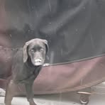 Profile Picture of Eugene Rossi (@eugene.rossi.54) on Facebook