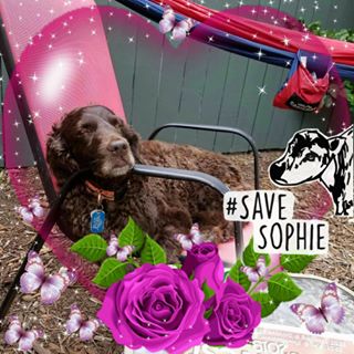 Profile Picture of Kit Wrede (@kit.wrede) on Facebook