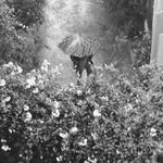 Profile Picture of Constance Barthélemy (@constance.b.y) on Instagram