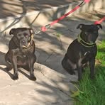 Marc Serrano - Facebook Profile Picture of Marc Serrano (@Marc-Serrano) on Facebook