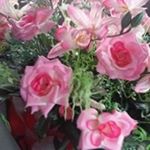 Profile Picture of Nalini Baijnath (@nalinibaijnath) on Instagram