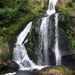 Profile Picture of Becky Matthews (@bbecky73) on Pinterest