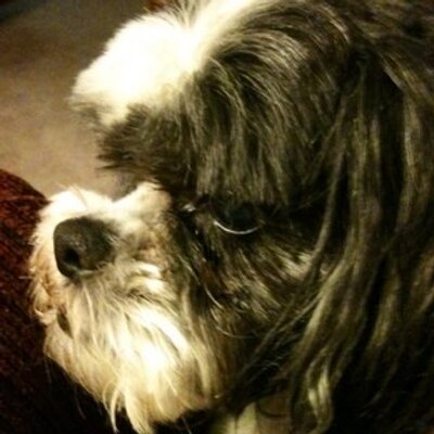 Profile Picture of Debbie Epp (@dlepp27) on Twitter