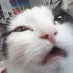 Profile Picture of Richard Ellis (@Richard-Ellis) on Facebook