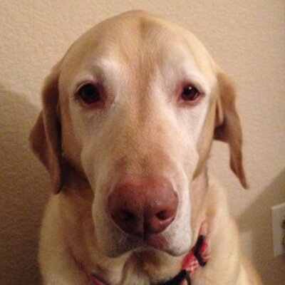 Profile Picture of Matt Fields (@mdfields77) on Twitter