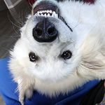 Profile Picture of Liam Christophersen (@l_c_81286) on Instagram