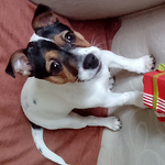 Profile Picture of John Cassidy (@johnny840c) on Flickr