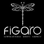 Profile Picture of FIGARO (@figaromodels) on Instagram