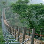 Profile Picture of David Lee (@wantanfelipe) on Instagram