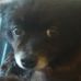 Profile Picture of Mike Chesser (@mike.chesser.334) on Facebook