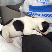 Itzel Castro - Quora Profile Picture of Itzel Castro (@itzel-castro-2) on Quora