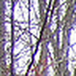 Profile Picture of Dennis Clark (@dewclark@sbcglobal.net) on Flickr