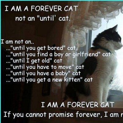 Profile Picture of Sasha Wilkinson (@SashaEmz123) on Twitter