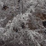 Profile Picture of Mohammad Humayun Kabir (@mhkbir) on Instagram