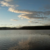 Lupe Yecenia Torres Orozco - Youtube Profile Picture of Lupe Yecenia Torres Orozco (@lupeyeceniatorresorozco152) on Youtube