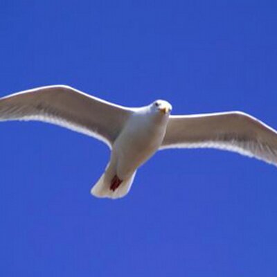 Chris Filby - Twitter Profile Picture of Chris Filby (@ChrisFilby) on Twitter