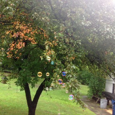 Profile Picture of Cynthia Newcombe (@CynthiaNewcomb6) on Twitter