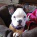 Profile Picture of Becky Spring (@becky.spring.33) on Facebook