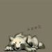 Profile Picture of Arron Wolf (@arronwolf) on Pinterest