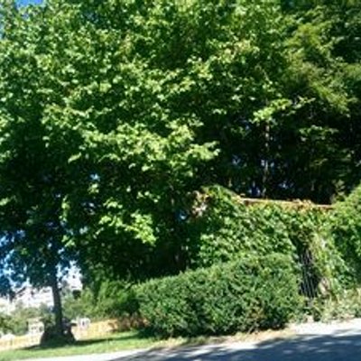 Nadege Charles - Twitter Profile Picture of Nadege Charles (@35a148e36bca4e1) on Twitter