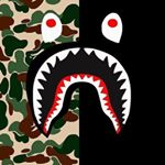 Profile Picture of Matthew Huntley (@huntley_matthew) on Instagram