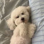 Profile Picture of Cecelia Edwards (@edwards_cecelia) on Instagram