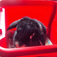 Profile Picture of Lee Reiner-clarke (@lee-reiner-clarke) on Quora