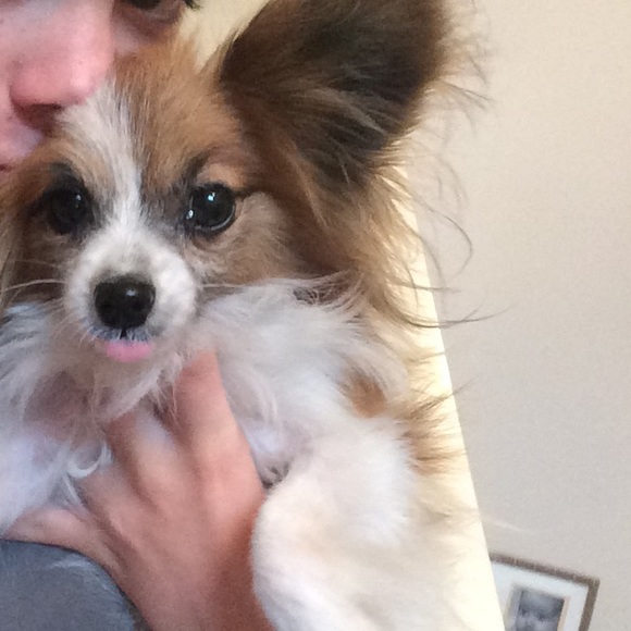 Profile Picture of Bri Wedge (@briwedge) on Poshmark