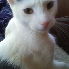 Michael Harle... - Tiktok Profile Picture of   Michael Harle... (@michaelharle) on Tiktok