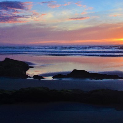 Profile Picture of Tracey Jacobsen (@seajtd3) on Twitter