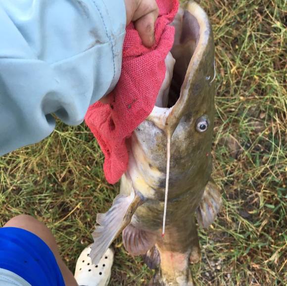 Profile Picture of Ruder Woody (@ruderwoody) on Poshmark