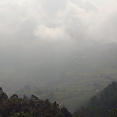 Profile Picture of Javier E. Peralta (@JavierEPeralta) on Twitter