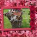 Profile Picture of Paula Beattie (@paula.beattie.355) on Facebook