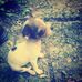 Profile Picture of Joshua Agustin Juarez (@joshua.agustinjuarez) on Facebook