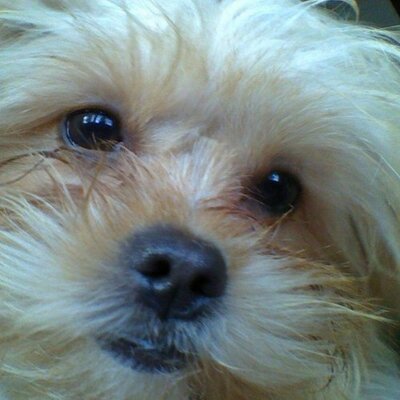 Profile Picture of Jason McMurray (@jaymickmc) on Twitter