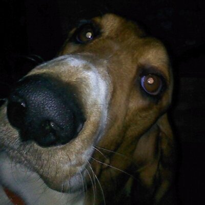 Profile Picture of James A. Mollohan (@Neander46) on Twitter