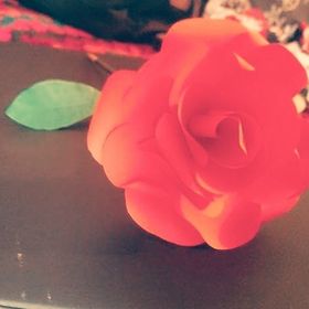 Profile Picture of Tina Jacklin (@smudgie80) on Pinterest